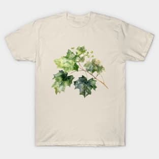 Beautiful Ivy Leaves T-Shirt